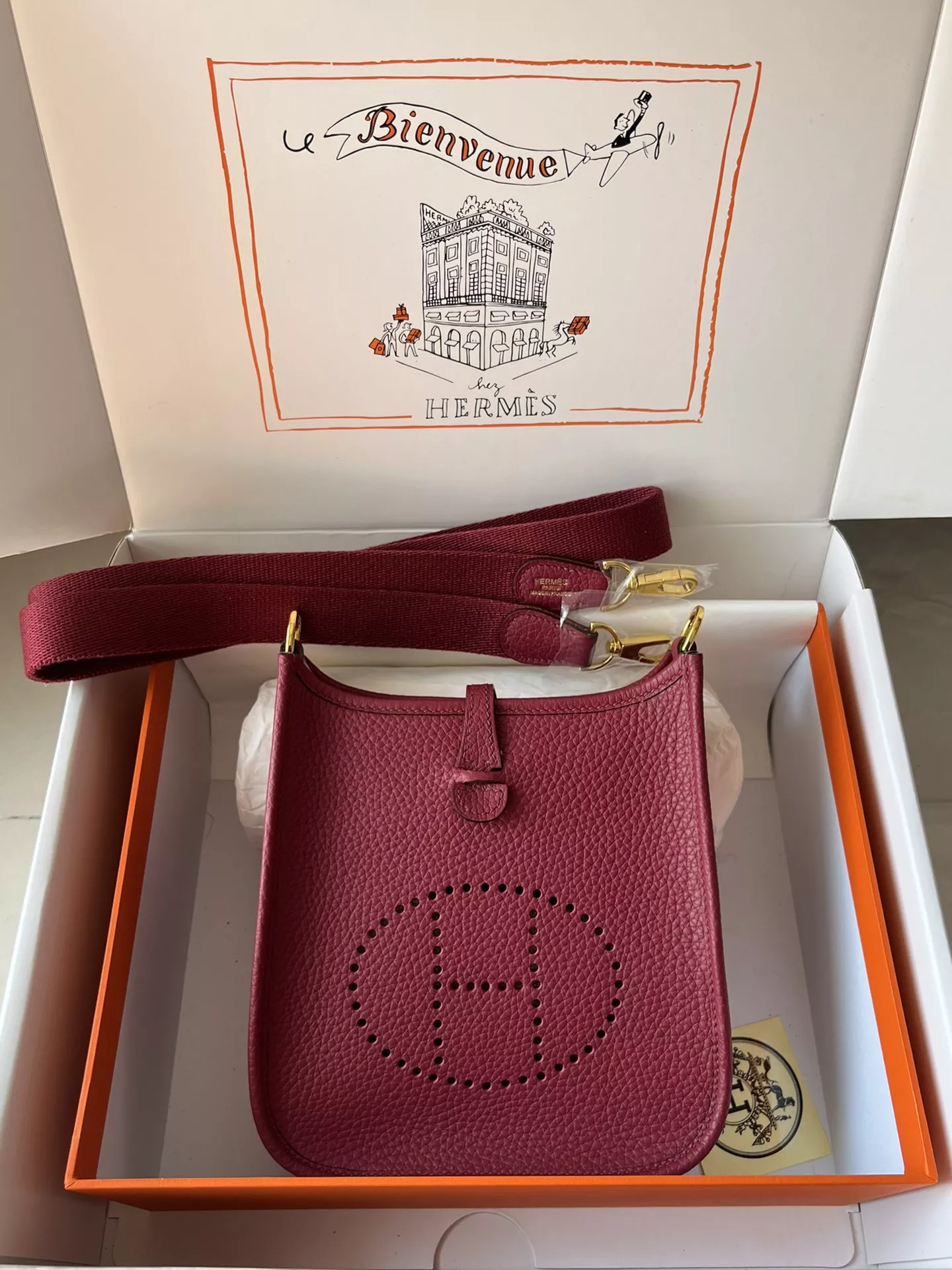 Hermes Mini Evelyne 0118