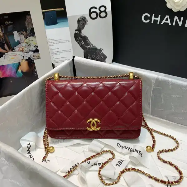 Hyperpeter CHANEL WALLET 0130