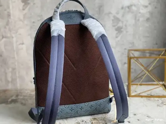 Hyper Peter BACKPACK VUITTON LOUIS ELLIPSE 0224